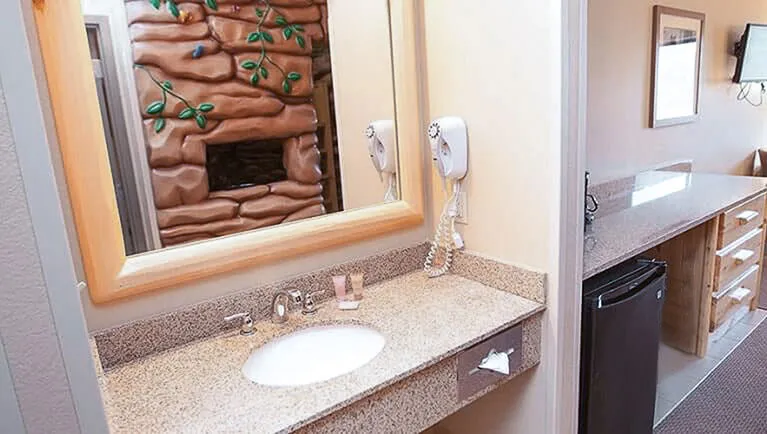 The sink area in the Wolf Pup Den Suite